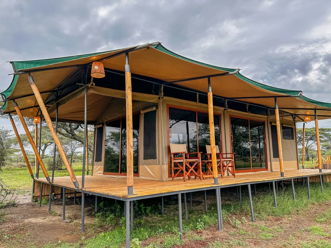 Dream beneath Africa's endless skies